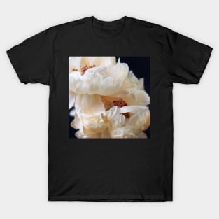 Pearl T-Shirt